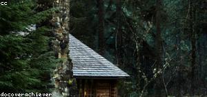 Log cabin in forest setting